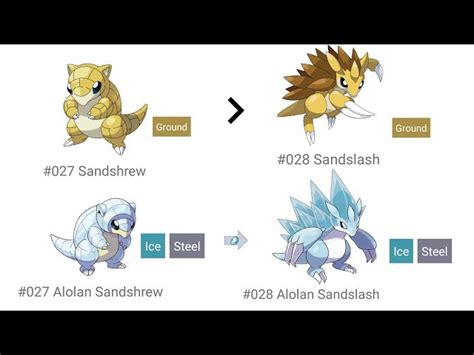 sandslash evolution chart|sandslash ev yield.